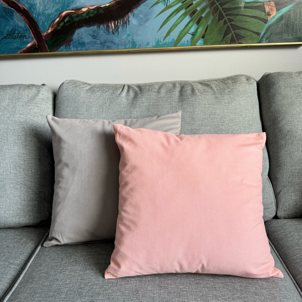 ✨🌸2 for 25 🌸✨  Throw pillow covers x2